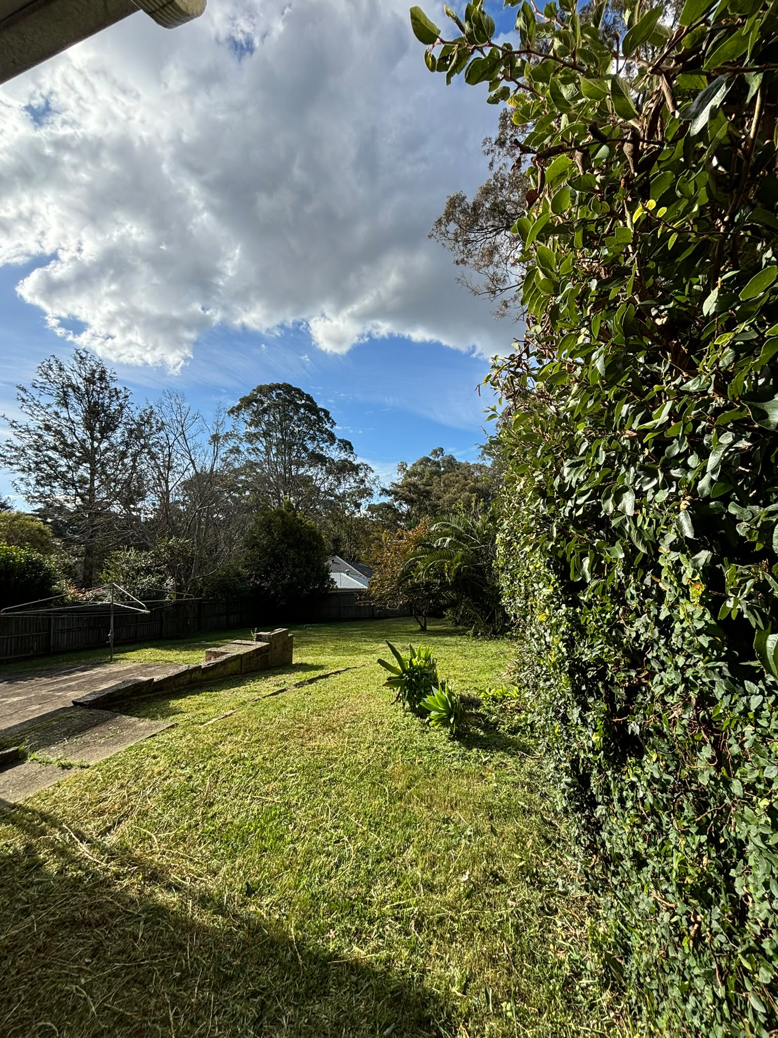 Northern Beaches manicured lawn and garden bed