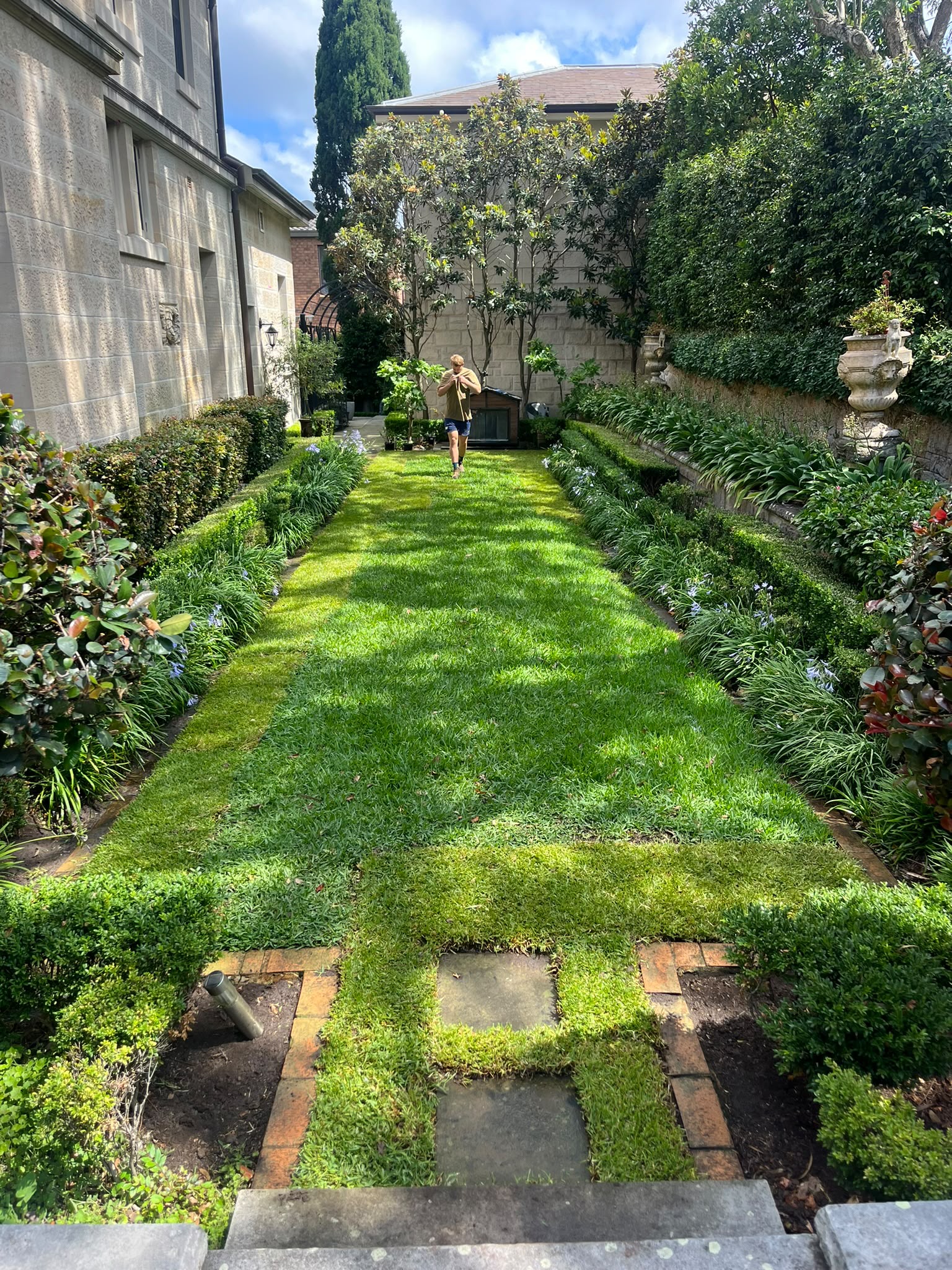 Garden clean-ups and overhaul service